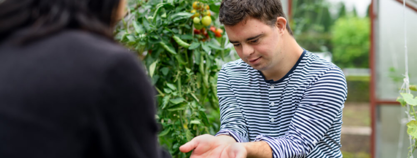 What Should Special Needs Parents Include in Their Estate Plan?